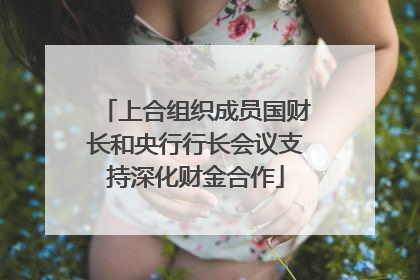 上合组织成员国财长和央行行长会议支持深化财金合作