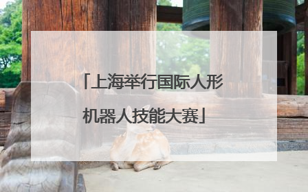 上海举行国际人形机器人技能大赛