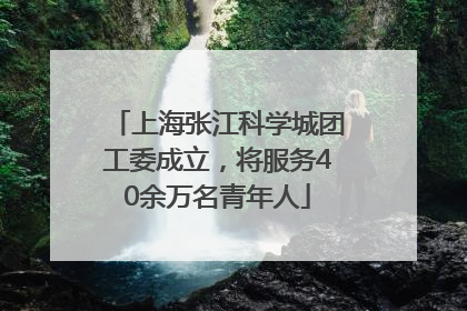 上海张江科学城团工委成立，将服务40余万名青年人