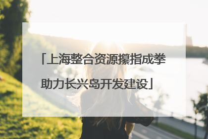 上海整合资源攥指成拳助力长兴岛开发建设