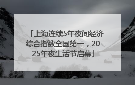 上海连续5年夜间经济综合指数全国第一，2025年夜生活节启幕