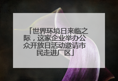 世界环境日来临之际，这家企业举办公众开放日活动邀请市民走进厂区