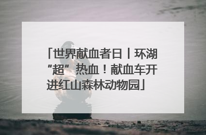 世界献血者日丨环湖“超”热血！献血车开进红山森林动物园