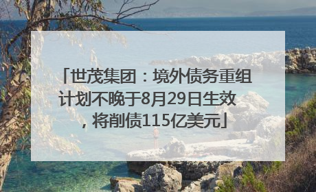 世茂集团：境外债务重组计划不晚于8月29日生效，将削债115亿美元