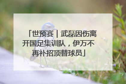 世预赛｜武磊因伤离开国足集训队，伊万不再补招顶替球员