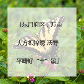 东昌府区：万亩大方织锦绣 沃野平畴好“丰”景