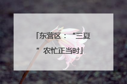 东营区：“三夏”农忙正当时