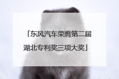 东风汽车荣膺第二届湖北专利奖三项大奖
