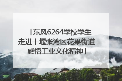 东风6264学校学生走进十堰张湾区花果街道感悟工业文化精神