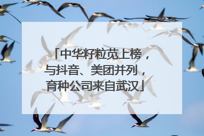 中华籽粒苋上榜，与抖音、美团并列，育种公司来自武汉