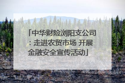 中华财险浏阳支公司：走进农贸市场 开展金融安全宣传活动