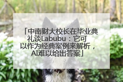 中南财大校长在毕业典礼谈Labubu：它可以作为经典案例来解析，AI难以给出答案