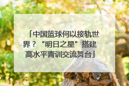 中国篮球何以接轨世界？“明日之星”搭建高水平青训交流舞台