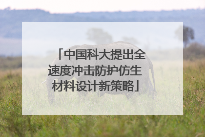 中国科大提出全速度冲击防护仿生材料设计新策略