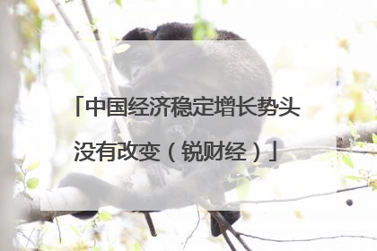 中国经济稳定增长势头没有改变（锐财经）