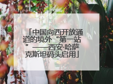 中国向西开放通道的境外“第一站”——西安·哈萨克斯坦码头启用