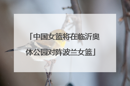 中国女篮将在临沂奥体公园对阵波兰女篮