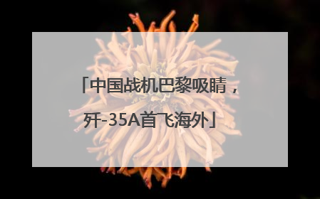 中国战机巴黎吸睛，歼-35A首飞海外