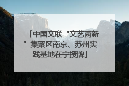 中国文联“文艺两新”集聚区南京、苏州实践基地在宁授牌