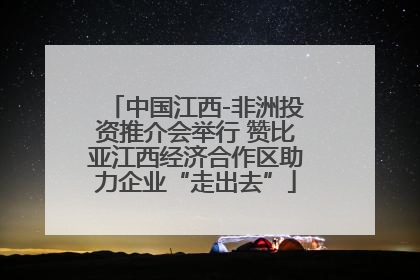 中国江西-非洲投资推介会举行 赞比亚江西经济合作区助力企业“走出去”