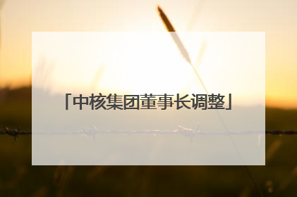 中核集团董事长调整