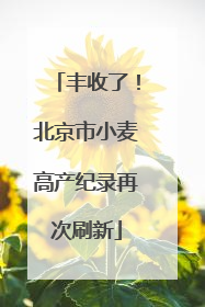 丰收了！北京市小麦高产纪录再次刷新