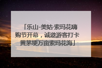 乐山-美姑·索玛花嗨购节开幕，诚邀游客打卡黄茅埂万亩索玛花海