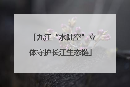 九江“水陆空”立体守护长江生态链