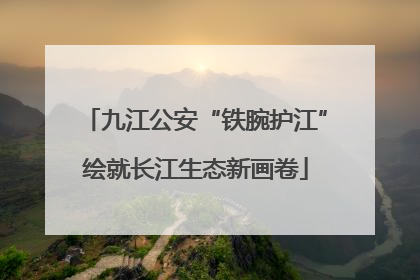 九江公安“铁腕护江”绘就长江生态新画卷