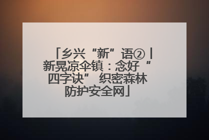 乡兴“新”语②丨新晃凉伞镇：念好“四字诀” 织密森林防护安全网