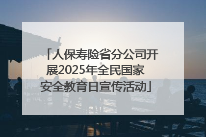 人保寿险省分公司开展2025年全民国家安全教育日宣传活动