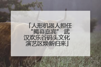 人形机器人担任“揭幕嘉宾” 武汉欢乐谷码头文化演艺区焕新归来