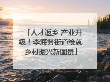 人才返乡 产业升级！李海务街道绘就乡村振兴新图景