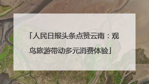 人民日报头条点赞云南：观鸟旅游带动多元消费体验