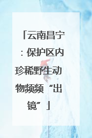 云南昌宁：保护区内珍稀野生动物频频“出镜”