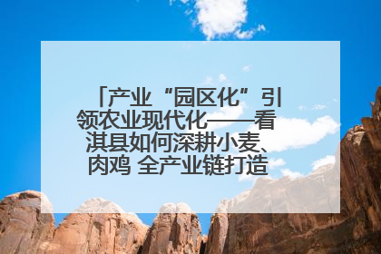 产业“园区化”引领农业现代化——看淇县如何深耕小麦、肉鸡 全产业链打造现代农业产业园