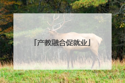 产教融合促就业