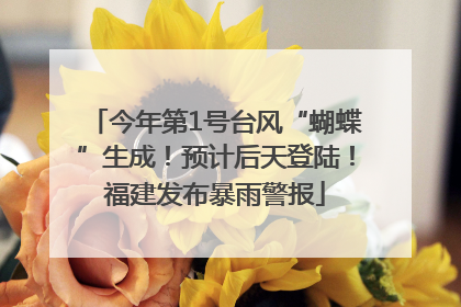 今年第1号台风“蝴蝶”生成！预计后天登陆！福建发布暴雨警报