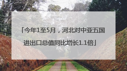 今年1至5月，河北对中亚五国进出口总值同比增长1.1倍