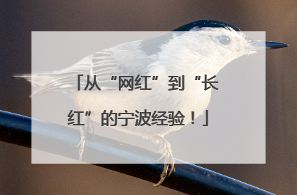 从“网红”到“长红”的宁波经验！