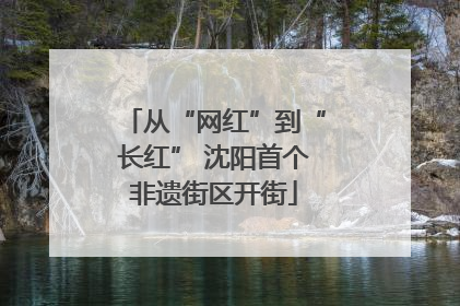 从“网红”到“长红” 沈阳首个非遗街区开街