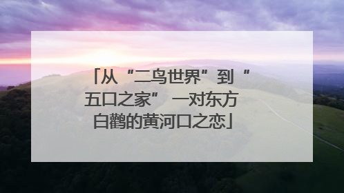 从“二鸟世界”到“五口之家” 一对东方白鹳的黄河口之恋