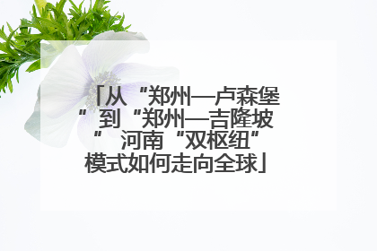 从“郑州—卢森堡”到“郑州—吉隆坡” 河南“双枢纽”模式如何走向全球