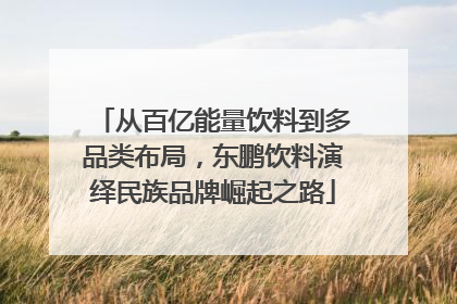 从百亿能量饮料到多品类布局，东鹏饮料演绎民族品牌崛起之路