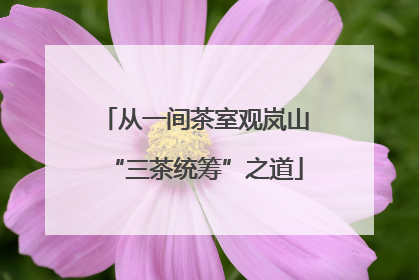 从一间茶室观岚山“三茶统筹”之道