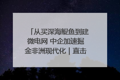 从买深海鳀鱼到建微电网 中企加速掘金非洲现代化｜直击中非经贸博览会