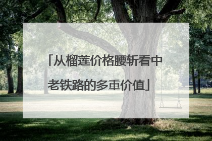 从榴莲价格腰斩看中老铁路的多重价值