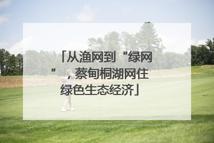从渔网到“绿网”，蔡甸桐湖网住绿色生态经济