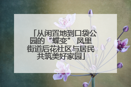 从闲置地到口袋公园的“蝶变” 凤里街道后花社区与居民共筑美好家园