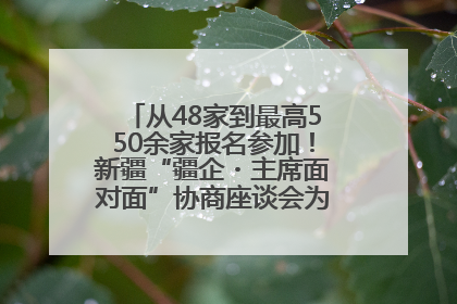 从48家到最高550余家报名参加！新疆“疆企・主席面对面”协商座谈会为何如此受欢迎？